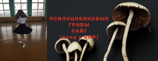 прущая мука Алзамай